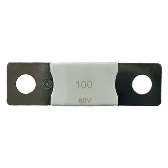 MEGA-pojistka 100A/80V Victron Energy